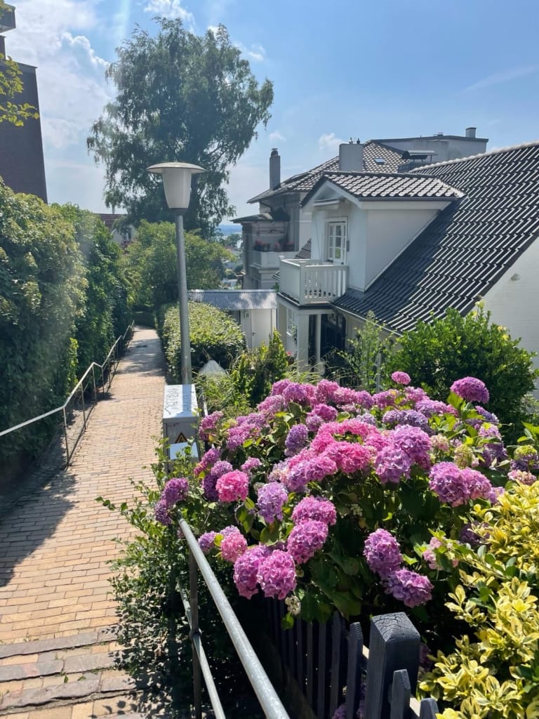 Entdecken Sie das Blankeneser Treppenviertel: Ein einzigartiges Wohnparadies in Hamburg 5