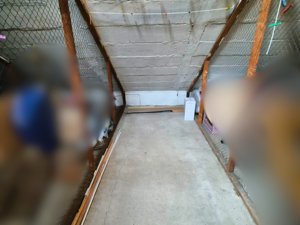 3f8e0299-6829-4f0e-bd6e-555f21c28360